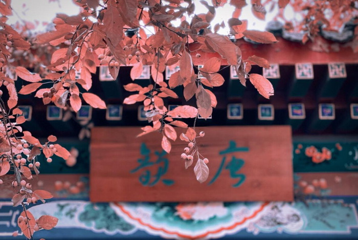 知足常乐的哲理名言和作者【知足常乐哲理句子】