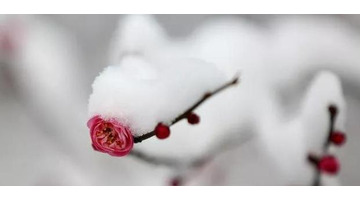 知足常乐哲理句子