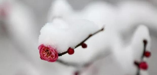 知足常乐哲理句子