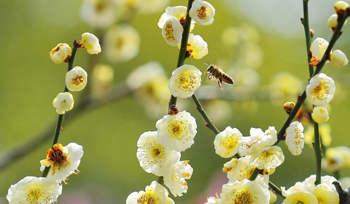 知足常乐哲理句子