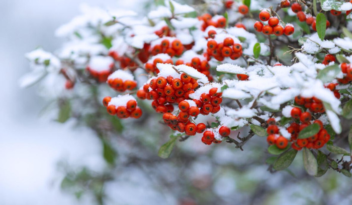 知足常乐哲理句子