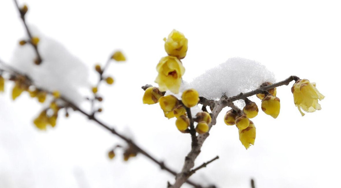 知足常乐哲理句子