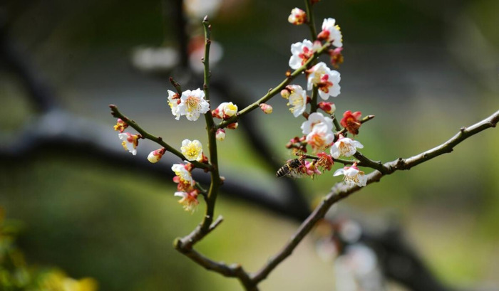 知足常乐哲理句子