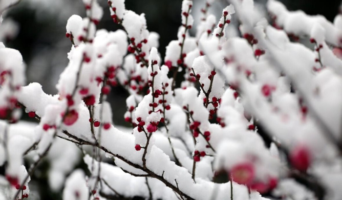 知足常乐哲理句子