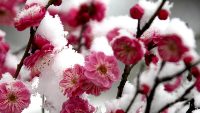 知足常乐哲理句子