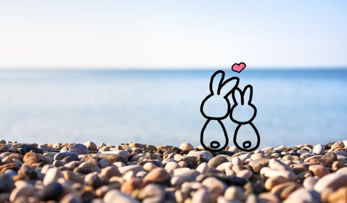 形容两人默契的句子歇后语【形容两人之间默契的句子】