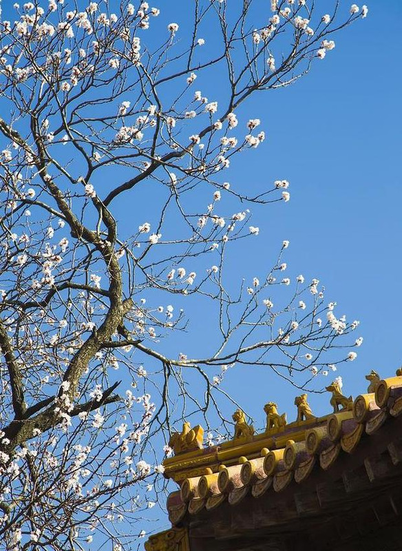 结婚祝福一到十祝福语