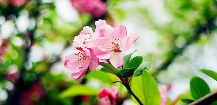 结婚祝福一到十祝福语