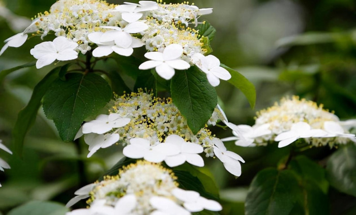 结婚祝福一到十祝福语
