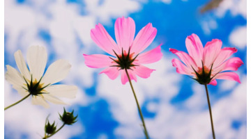 人生匆匆的经典句子,感慨人生短暂的句子