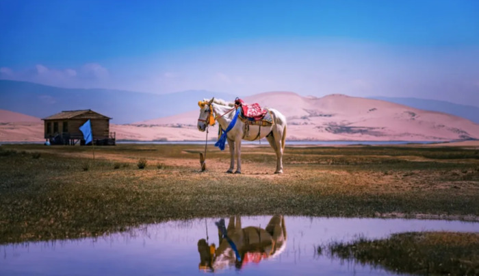 人生匆匆的经典句子,感慨人生短暂的句子
