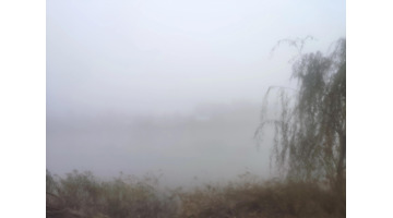 描写赏雪的美好心情【形容赏雪心情】