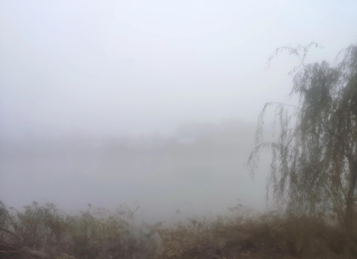 描写赏雪的美好心情【形容赏雪心情】