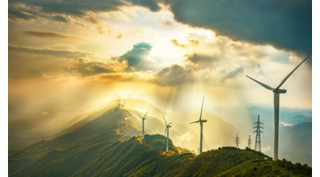 生活需要发现美的句子【发现生活中的美好佳句】