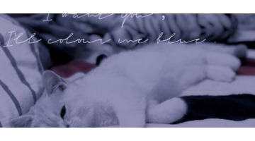 抖音心酸文案【搞笑心酸文案】