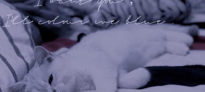 抖音心酸文案【搞笑心酸文案】