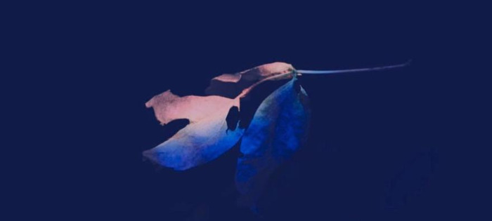 抖音心酸文案【搞笑心酸文案】