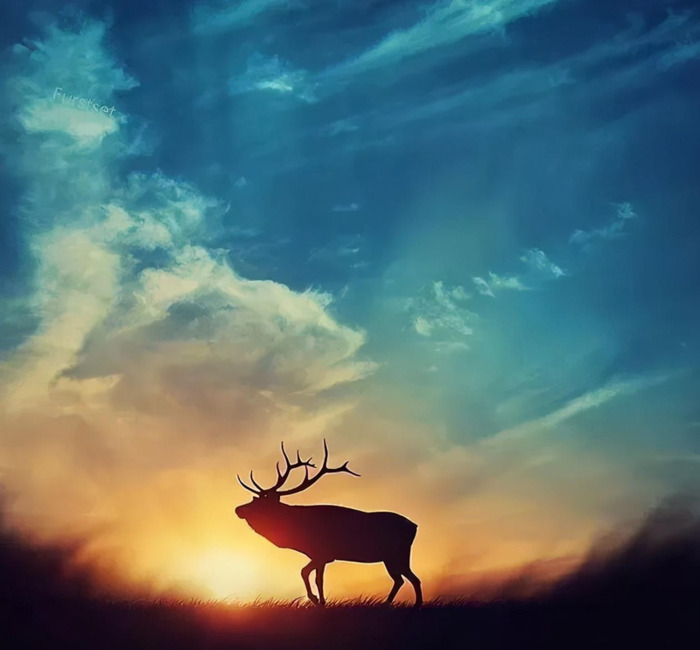 人心善良的经典语录努力拼搏的句子