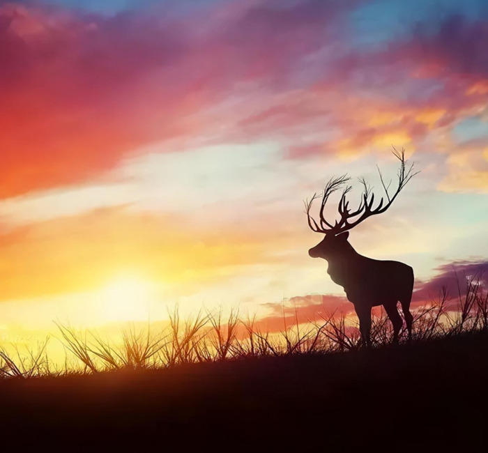 人心善良的经典语录努力拼搏的句子