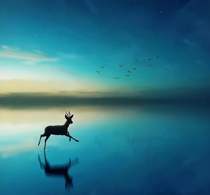 人心善良的经典语录努力拼搏的句子