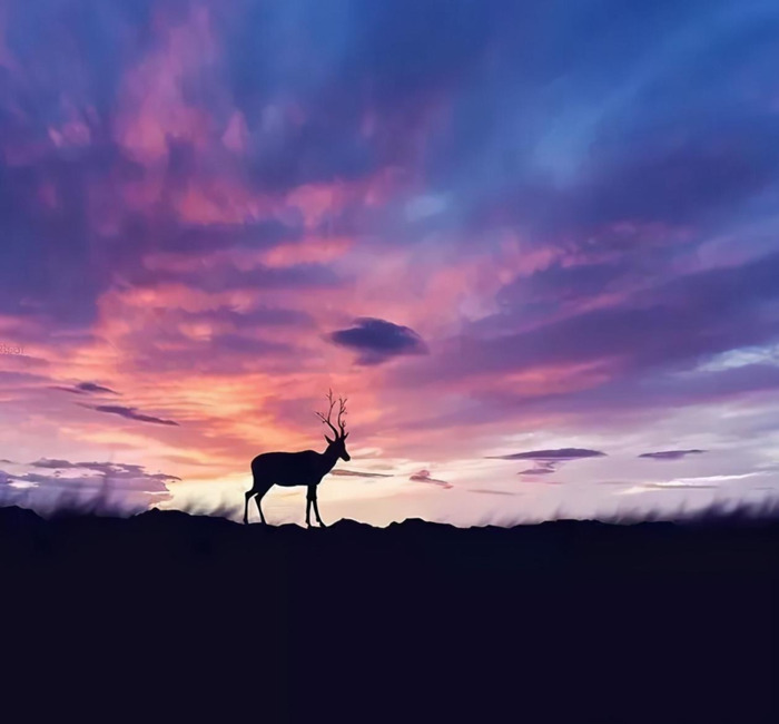 人心善良的经典语录努力拼搏的句子