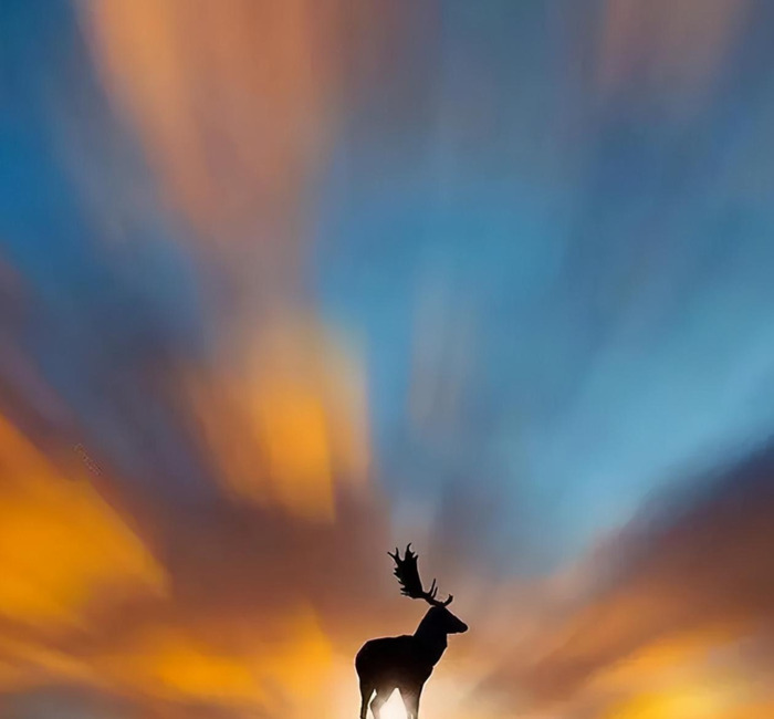 人心善良的经典语录努力拼搏的句子
