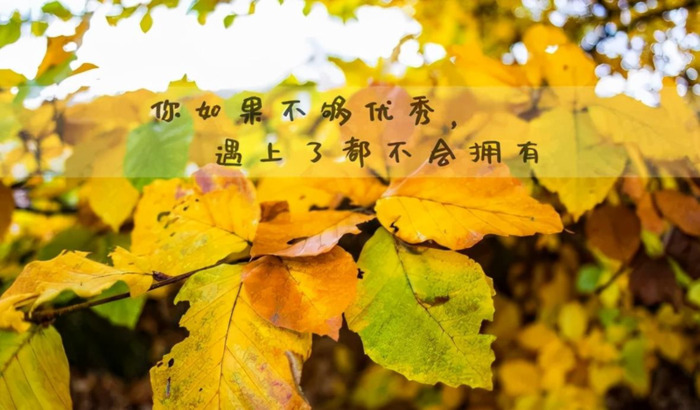 表达平凡生活的句子【含有平凡的唯美句子】