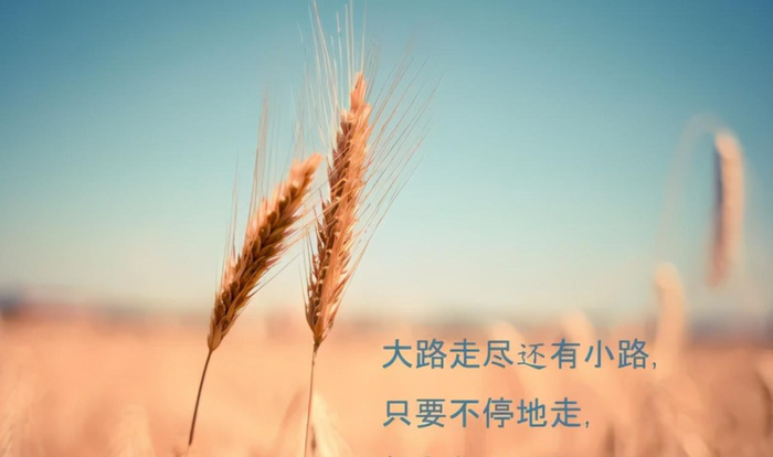 表达平凡生活的句子【含有平凡的唯美句子】