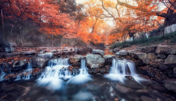 期待花开经典语录【期待开花结果的唯美句子】