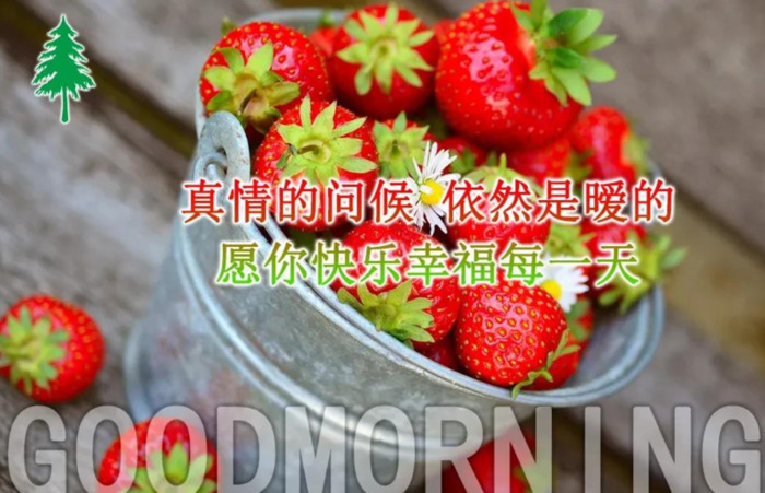 形容天气变冷的句子