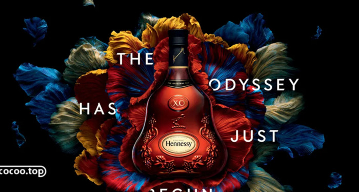 抖音广告【抖音广告语记录美好生活】