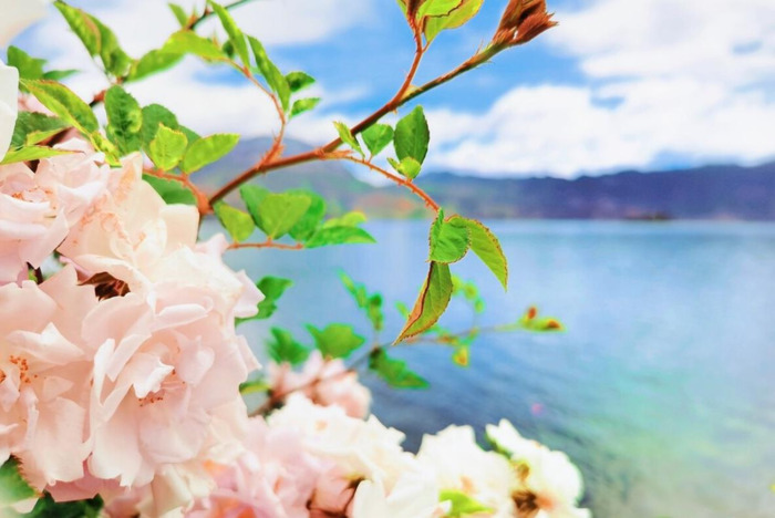 10年后的理想生活