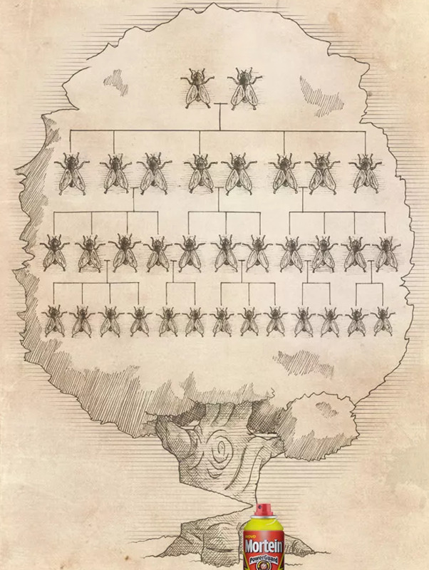 广告文案的写作