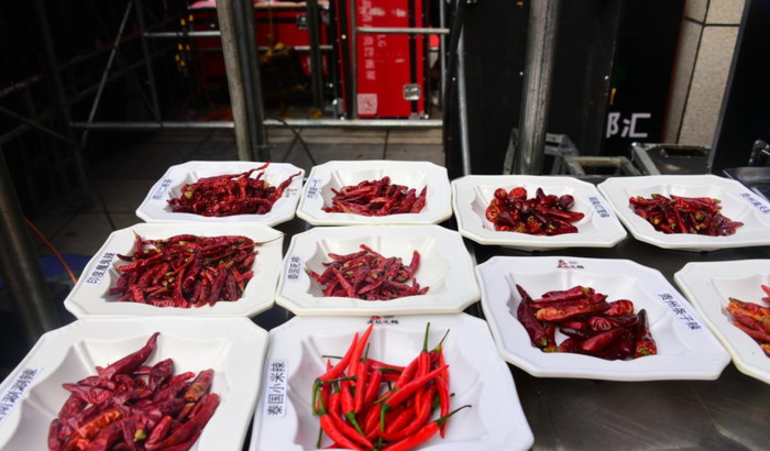 悟空问答收益怎么样