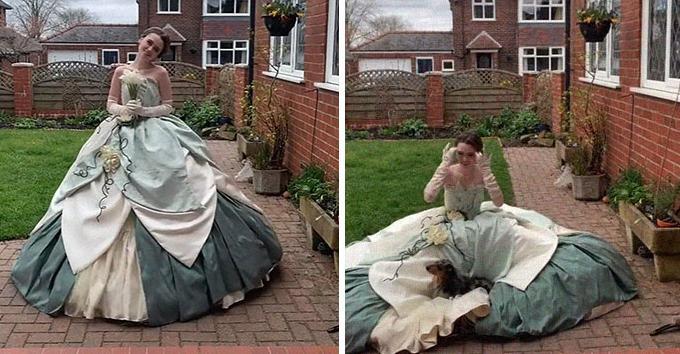 衣服设计图案【芭比娃娃衣服设计图】