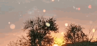 视频美颜用什么软件【什么软件美颜视频最好】