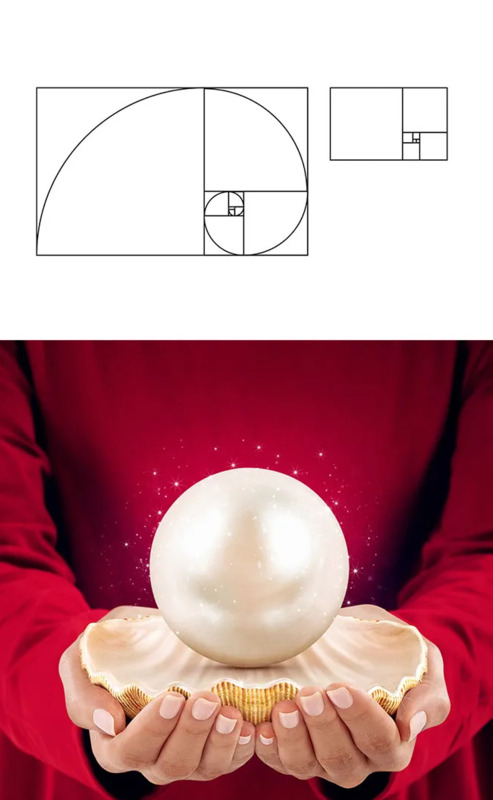 黄金分割设计作品【黄金分割设计应用】