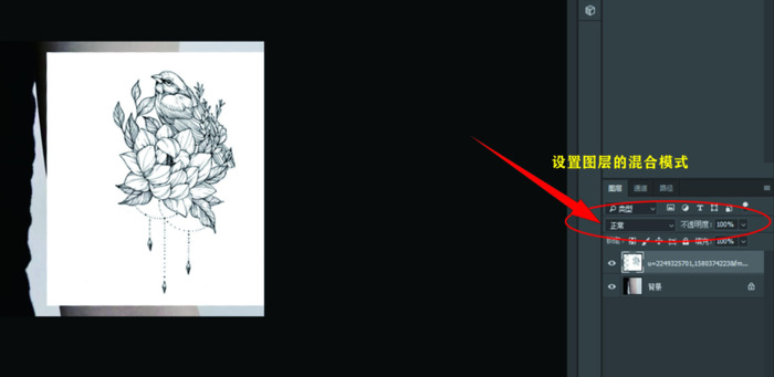 自己设计纹身图案软件【纹身效果图制作】