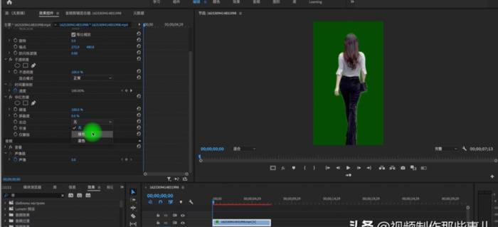 手机视频抠图用什么软件最好【最好的视频抠图软件】