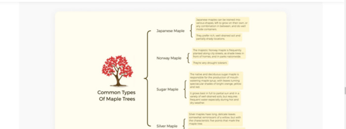 做思维导图的软件【免费的脑图软件】