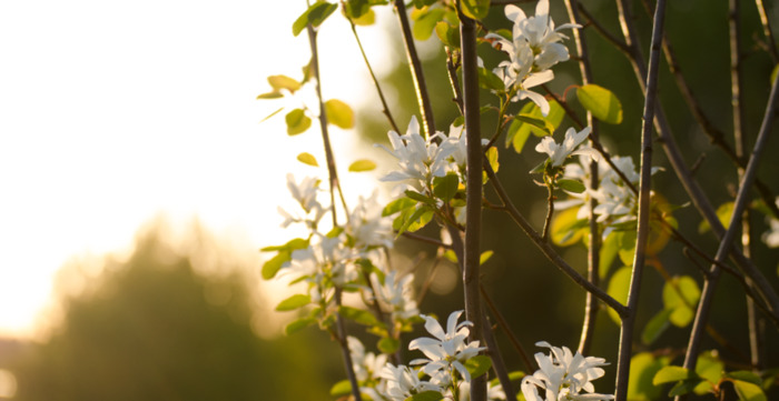 花瓣 app【花瓣网手机app】