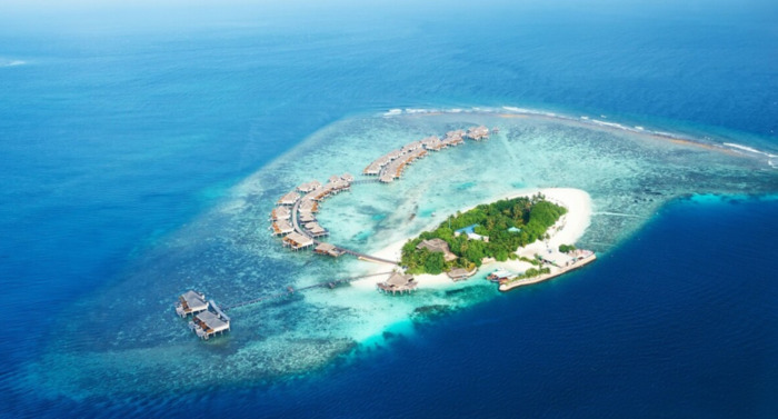 代买跑腿app【跑腿代购app哪个好】