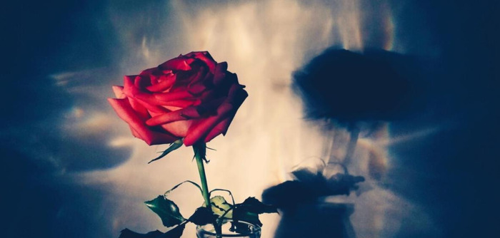 开发社交软件【社交系统开发】