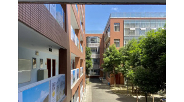 学校吉祥物设计图片大全和设计意图【学校吉祥物设计图片大全 可爱】