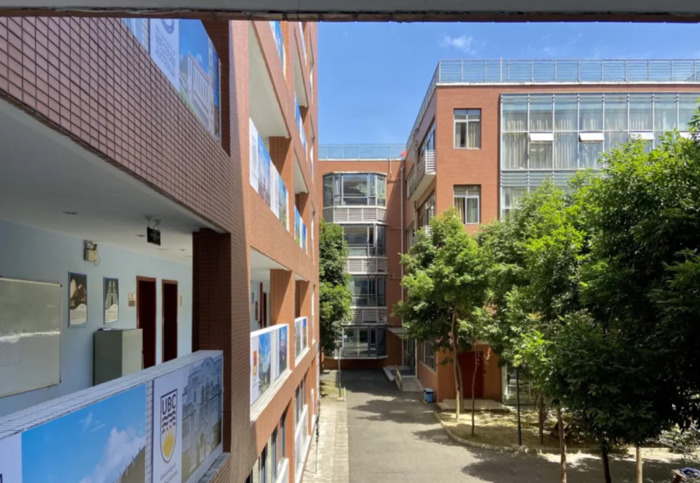 学校吉祥物设计图片大全和设计意图【学校吉祥物设计图片大全 可爱】