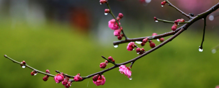 最美年华的唯美短句【最美的年华的句子】