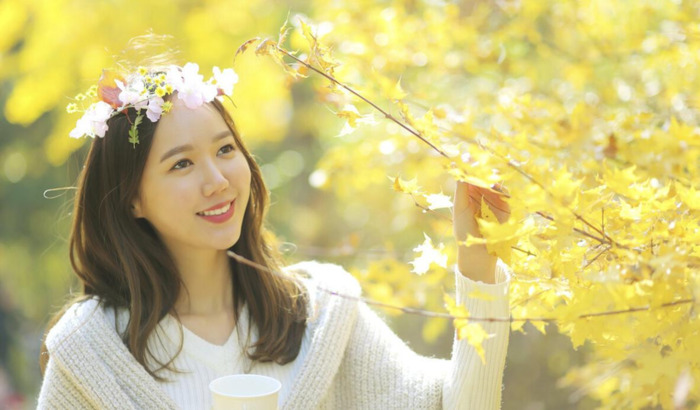 最美年华的唯美短句【最美的年华的句子】