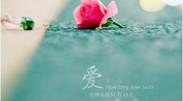 浪漫的诗句6字【6字爱情诗句】