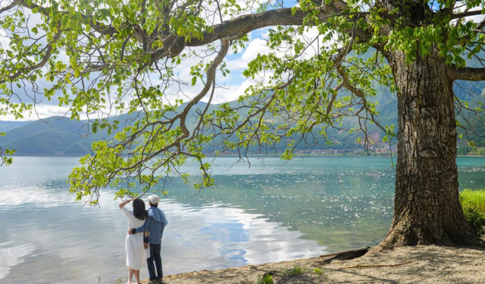 彼此理解的句子【爱情相互理解的唯美句子】