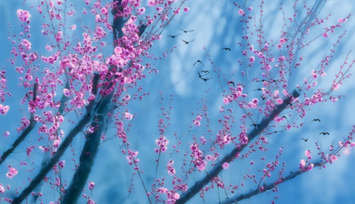 愿孩子成长的唯美句子【孩子愿你此生唯美的诗】